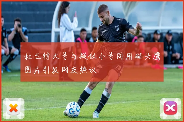 杜兰特大号与疑似小号同用猫头鹰图片引发网友热议