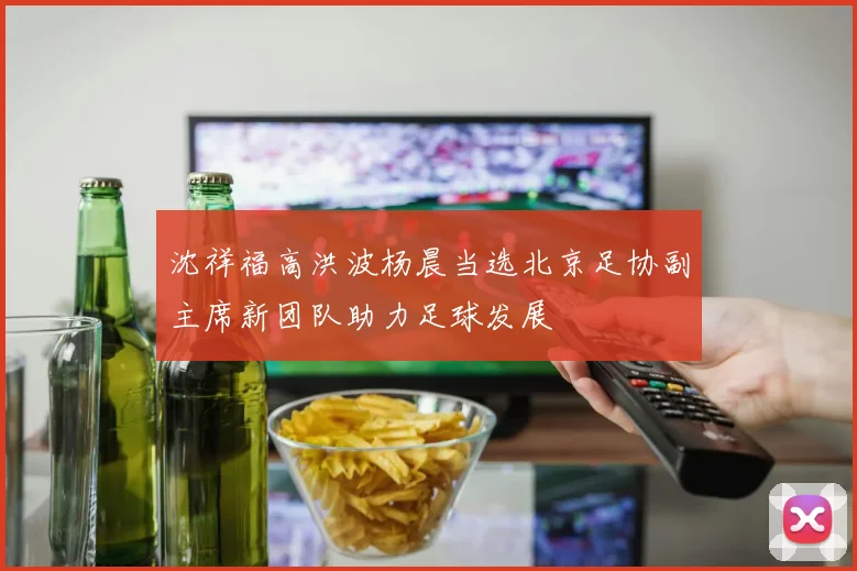 沈祥福高洪波杨晨当选北京足协副主席新团队助力足球发展