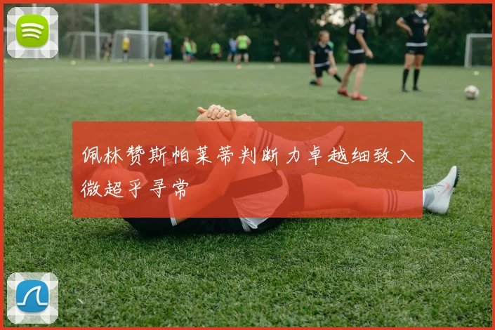 佩林赞斯帕莱蒂判断力卓越细致入微超乎寻常
